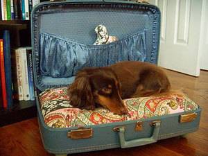 Домик для собаки из чемодана