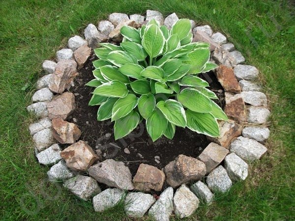 Клумбы из камней -пошаговая инструкция для начинающих садоводов (55 фото идей)