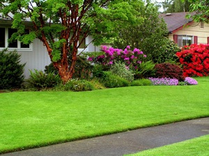 Как правильно косить газон: сроки, высота и правила покоса газона