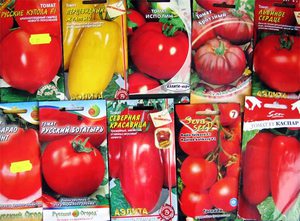 Виды томатов для теплиц