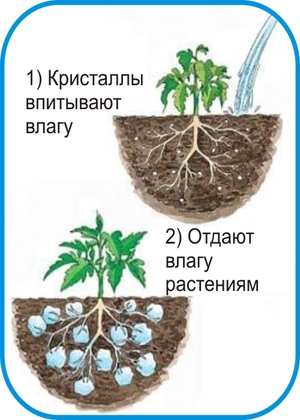 Гидрогель для растений
