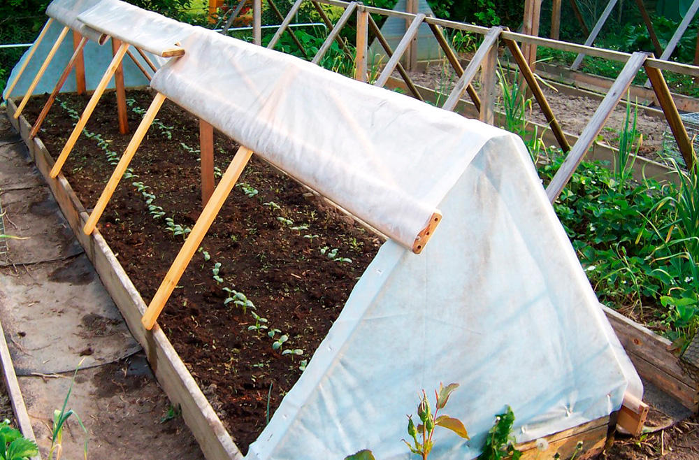 Агроволокно - укрывной материал для теплиц | Огородник