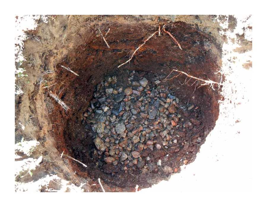 Дренажный слой в яме для посадки барбариса