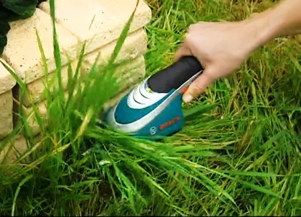 Аккумуляторные ножниц gardena accu 100. Триммер для кустов и травы аккумуляторные. Аккумуляторные ножницы для травы и кустов. Кусторез аккумуляторный bosch isio 3. Вайлдберриз аккумуляторный триммер для травы.