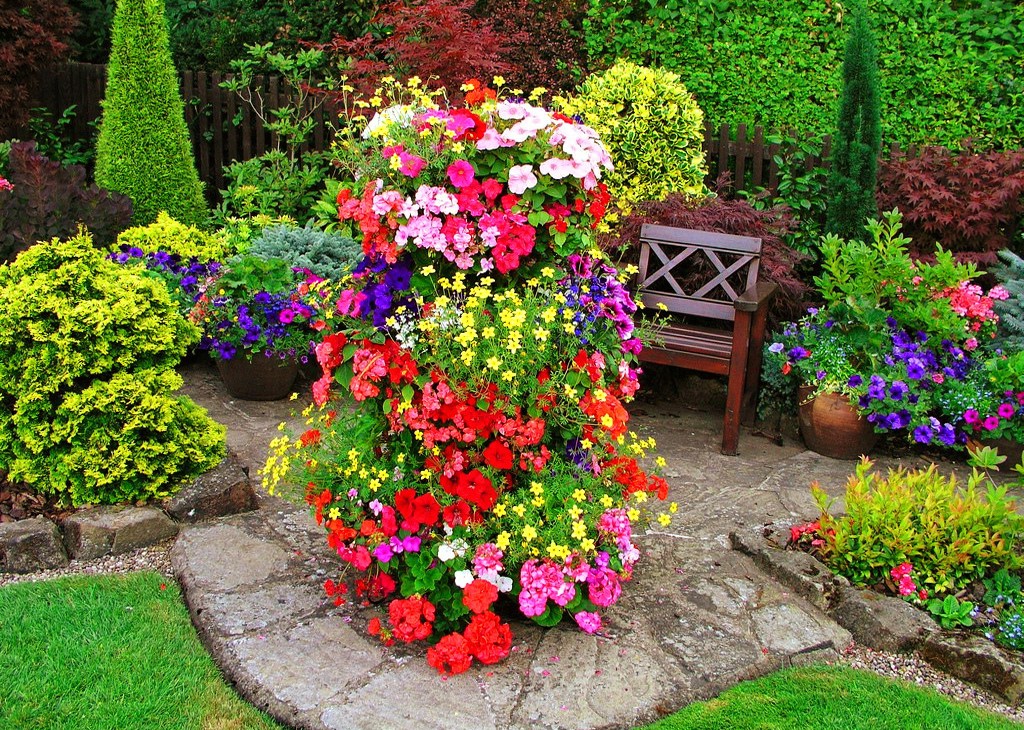 Фото цветов которые можно посадить на даче